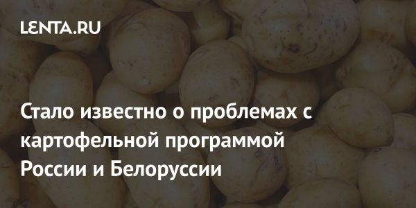 Обвинение в мошенничестве против Сергея Скрипникова из Агрисовгаз инжиниринг