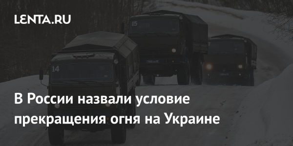 Мирное соглашение с Украиной: мнения экспертов и условия достижения мира