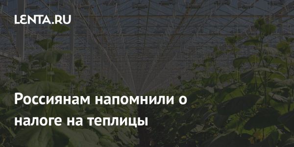 Особенности налогообложения хозпостроек для физических лиц