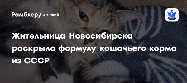 Уникальный рацион для домашних кошек в условиях дефицита