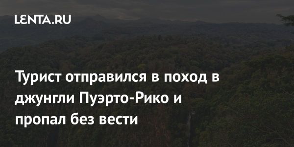 Турист из Висконсина найден в джунглях Пуэрто-Рико после двух дней поисков