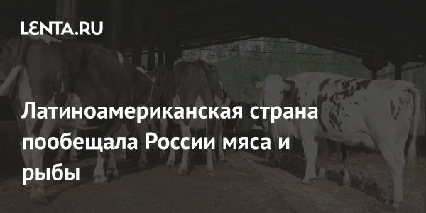 Бразилия планирует расширить поставки в Россию