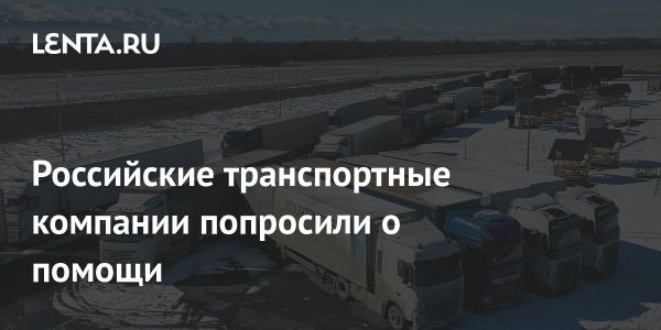 Кризис в российской логистике может привести к банкротству третьи компаний к 2025 году