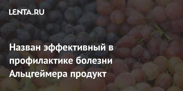 Виноград как средство профилактики болезни Альцгеймера