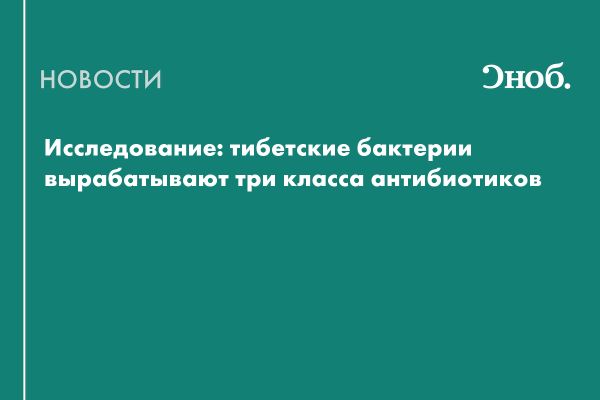 Открытие ученых: бактерии из Тибета производят антибиотики