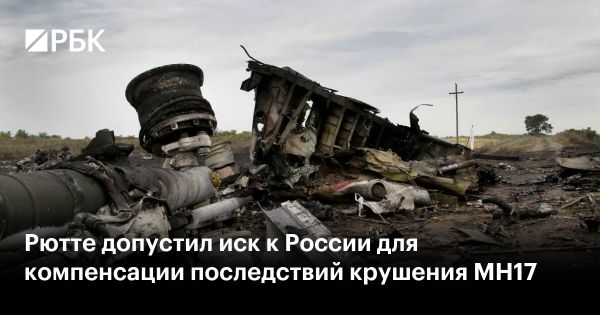 Финансовые потери Нидерландов после крушения Boeing MH17