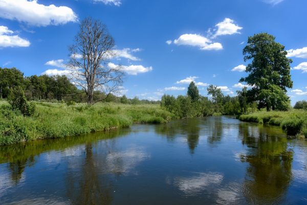 Инициатива России по снижению загрязнения водных ресурсов