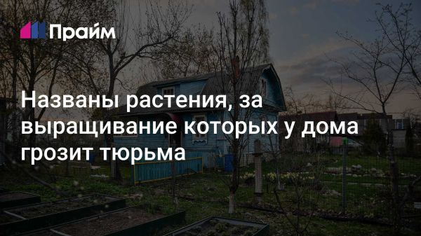 Запрещенные растения для выращивания на земельных участках