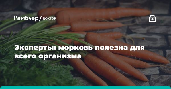 Полезные свойства моркови: источник витаминов и минералов