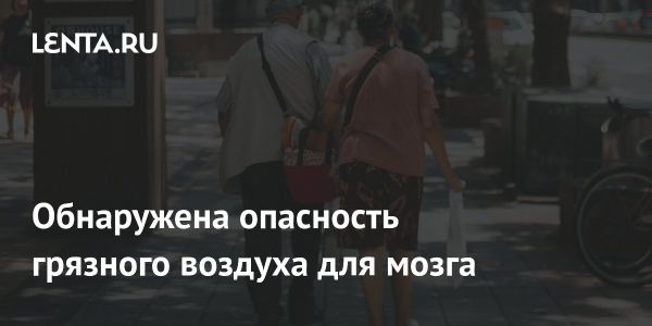 Воздействие магнетита на развитие болезни Альцгеймера