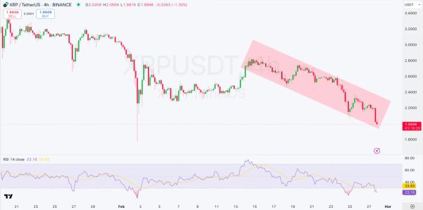 Анализ коррекции криптовалютного рынка и перспективы биткоина до весны 2025