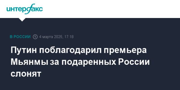 Путин благодарит Мьянму за шесть слонов в честь дипломатических отношений