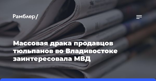 Массовая драка между продавцами тюльпанов: расследование полиции