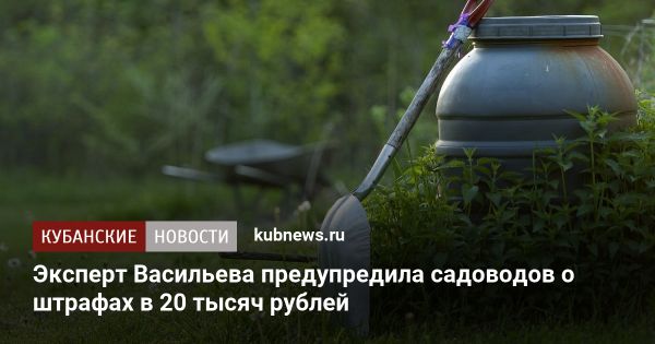 Новые штрафы для дачников в России в 2025 году