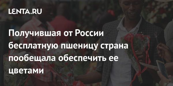 Рост экспорта Зимбабве в Россию и новые направления сотрудничества