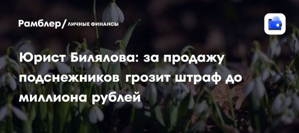 Ответственность за сбор и продажу подснежников