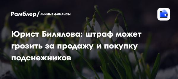 Штрафы за продажу и сбор подснежников в России