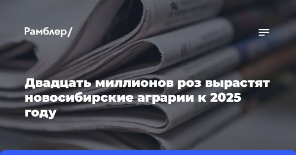 Планы тепличного комбината в Новосибирске к 2024 году