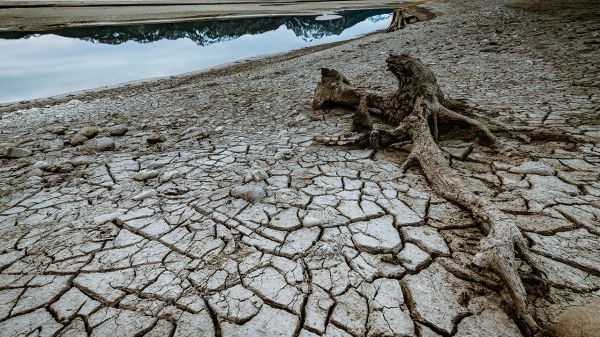 Недостаток воды в ЕС: вызовы и риски