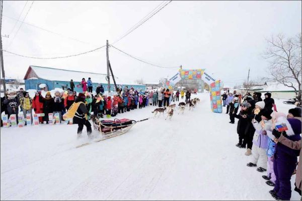 Гонки на собачьих упряжках «Берингия» на Камчатке