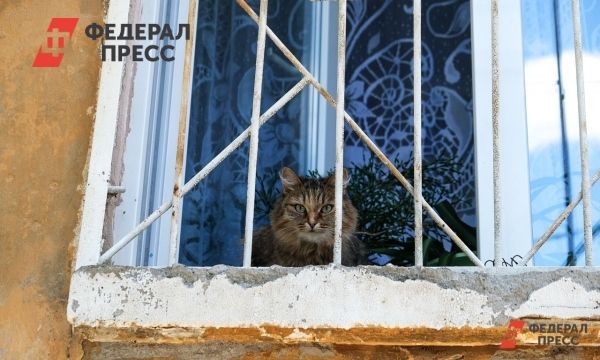 Пожарная безопасность в Москве и установка решеток на окнах