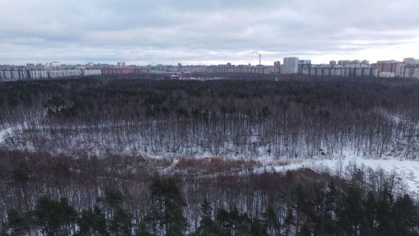 Изменение назначения земельного участка в Юнтолово для рекреационных нужд