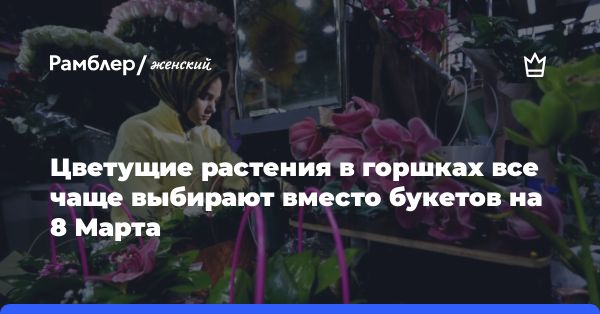 Рост цен на горшечные цветы в преддверии 8 Марта