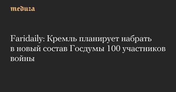 Ветераны войны могут стать депутатами Госдумы в 2026 году