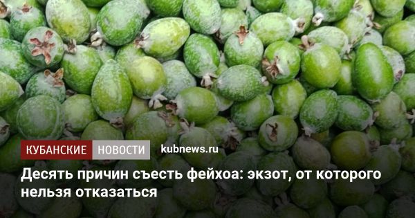 Фейхоа: экзотический фрукт с уникальными свойствами