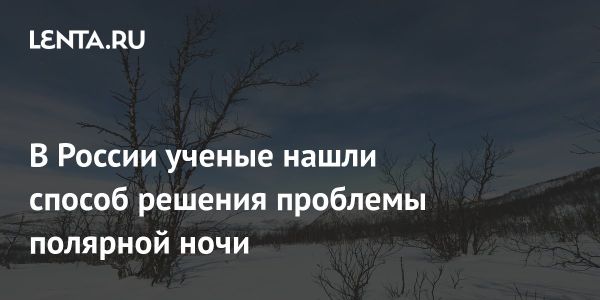 Разработка системы умного света для борьбы с полярной ночью