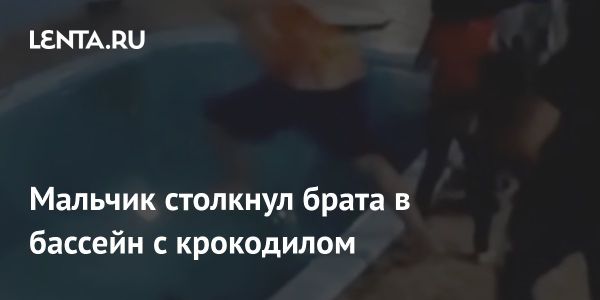 Инцидент с крокодилом в Гондурасе вызывает общественное возмущение