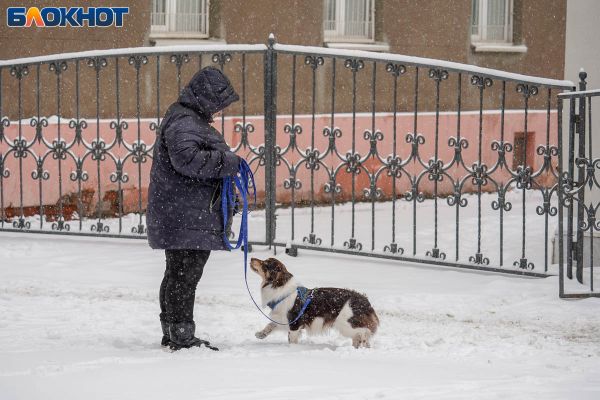 Астрологический прогноз: 11-17 марта от Дианы Подлесной