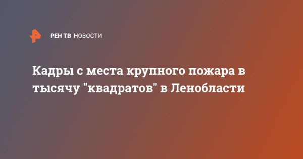 Пожарные оперативно локализовали крупное возгорание в Ленинградской области