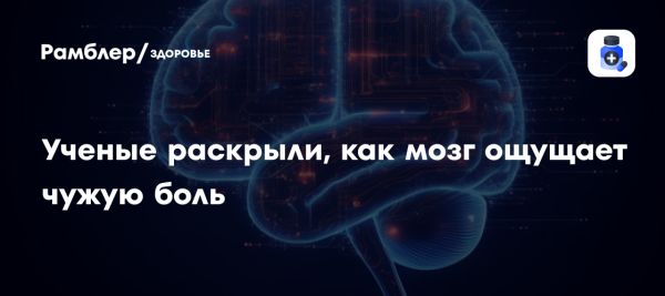 Изучение эмпатии через нейроны: как мыши воспринимают чужую боль