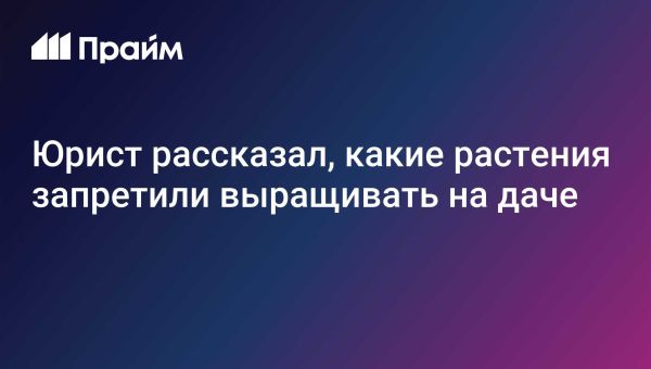 Запрещенные растения для выращивания в России