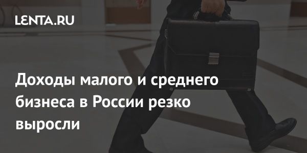 Доходы МСП в России достигли 25,8 триллиона рублей к концу 2023 года