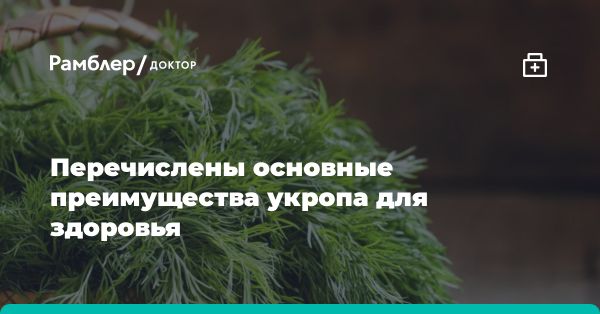 Полезные свойства укропа: флавоноиды и не только