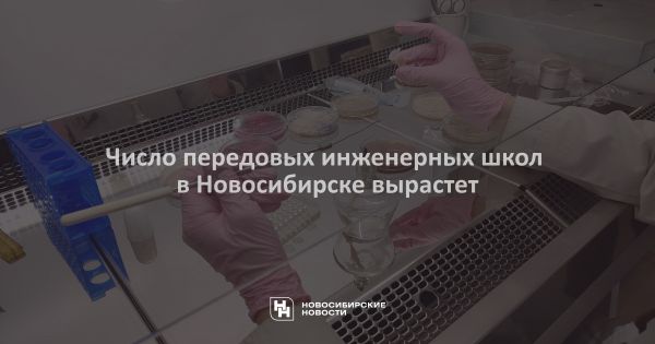 Программа передовых инженерных школ: новые возможности для агробезопасности