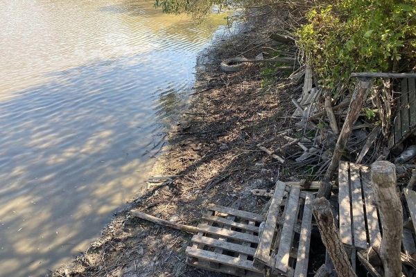 Нарушения природоохранного законодательства в Курской области