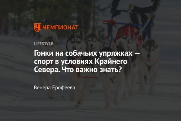 Популяризация ездового спорта для собак и его история