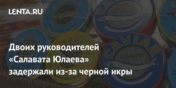 Руководство хоккейного клуба Салават Юлаев задержано за вывоз черной икры