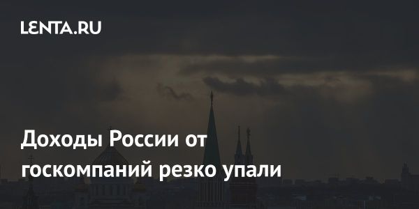 Дивиденды государственных компаний 2023: снижение в два раза