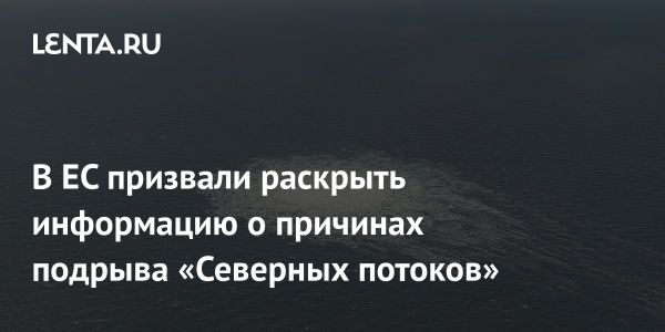 Французский депутат требует разглашения данных о диверсии на газопроводах России