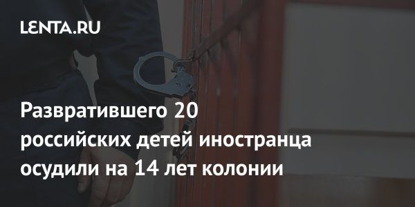 Суд приговорил гражданина Таджикистана к 14 годам за развращение детей