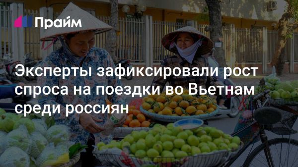 Российские туристы активно бронируют отели во Вьетнаме на 2025 год