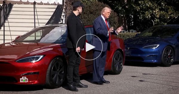 Трамп покупает Tesla и последствия для экономики США