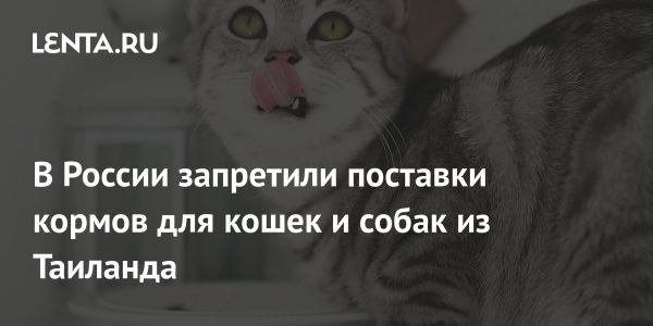 Россельхознадзор запретил импорт кормов из Таиланда и остановил сертификацию итальянских и французских производителей