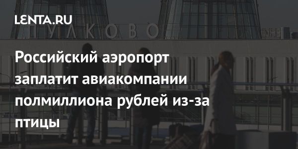 Аэропорт Пулково выплатит компенсацию за инцидент с птицей на пункте назначения