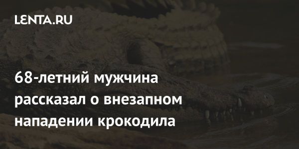 Американец атакован крокодилом во Флориде: подробности инцидента