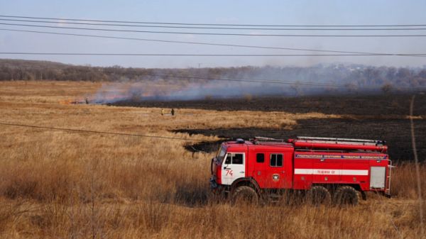 Природные пожары в Приморье: последние новости и оперативная информация